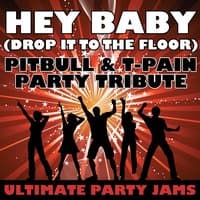 Hey Baby (Drop It To The Floor) (Pitbull & T-Pain Party Tribute)