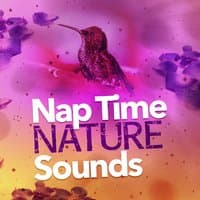 Nap Time Nature Sounds