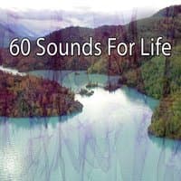 60 Sounds For Life