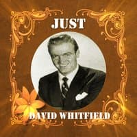 Just David Whitfield