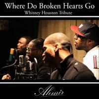 Where Do Broken Hearts Go (Whitney Houston Tribute)