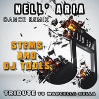 Nell'aria: Dance Remix Tribute to Marcella Bella Stems and DJ Tools