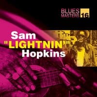 Blues Masters Vol. 16