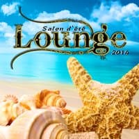 Salon d'été lounge 2014