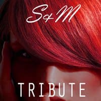 S&M (Rihanna Tribute)