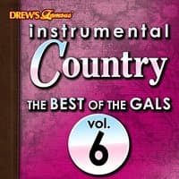 Instrumental Country: The Best of the Gals, Vol. 6