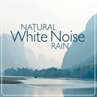 Natural White Noise: Rain