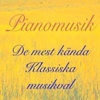 Pianomusik, Vol. 2