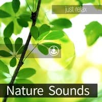 Nature Sounds