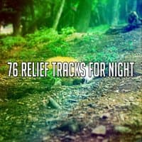 76 Relief Tracks For Night