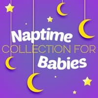 Naptime Collection for Babies