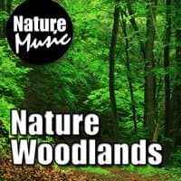 Nature Woodlands (Nature Sound with Music)