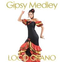 Gipsy Medley Loco Gitano: Que Mira La / Loco Gitano Flamenco / Cheillo / Soledad / Musica