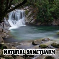 Natural Sanctuary