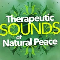 Therapeutic Sounds of Natural Peace