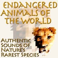 Endangered Animals of the World - Authentic Sounds of Nature's Rarest Species