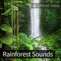 Rainforest Sounds