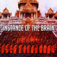 Instance Of The Brain