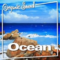 Ocean (Nature Sounds)