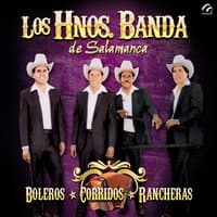 Boleros, Corridos y Rancheras