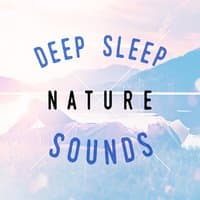 Deep Sleep - Nature Sounds