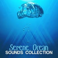 Serene Ocean Sounds Collection