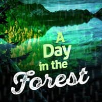 A Day in the Forest