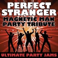 Perfect Stranger (Magnetic Man Party Tribute)