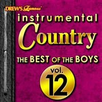 Instrumental Country: The Best of the Boys, Vol. 12