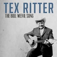 The Boll Weevil Song