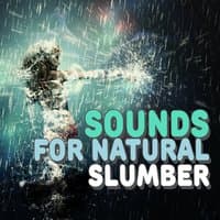 Sounds for Natural Slumber