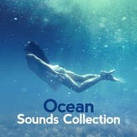 Ocean Sounds Collection