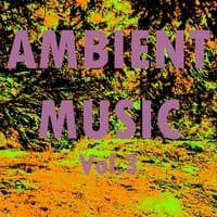 Ambient Music, Vol. 3