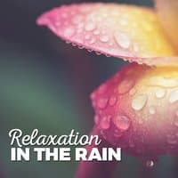 Relaxation in the Rain