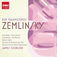 Alexander von Zemlinsky: Der Traumgörge