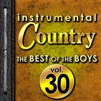 Instrumental Country: The Best of the Boys, Vol. 30