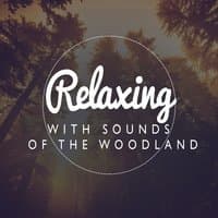 Relaxing with Sounds of the Woodland