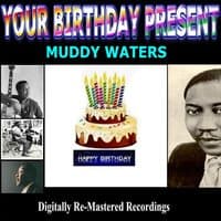 Your Birthday Present - Muddy Waters