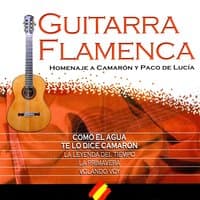 Nº 5 "Your Songs On Spanish Guitar" (Homenaje Flamenco A "Camarón De La Isla")