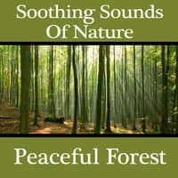 Soothing Sounds of Nature - Peaceful Forest