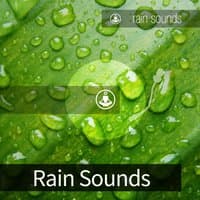 Rain Sounds