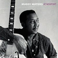 Muddy Waters at Newport