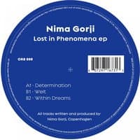 Lost in Phenomena EP