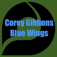 Blue Wings