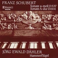 Schubert Sonatas on Brodmann's Hammerklavier