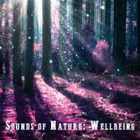 Sounds of Nature: Wellbeing