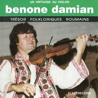 Benone Damian Vioară