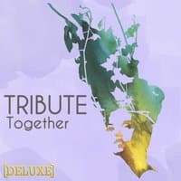 Together (Demi Lovato feat. Jason Derulo Tribute) Deluxe