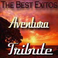 The Best Exitos: Aventura Tribute