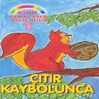 Çıtır Kaybolunca / Kalite Gökkuşagı Masal Dizisi, Vol. 1